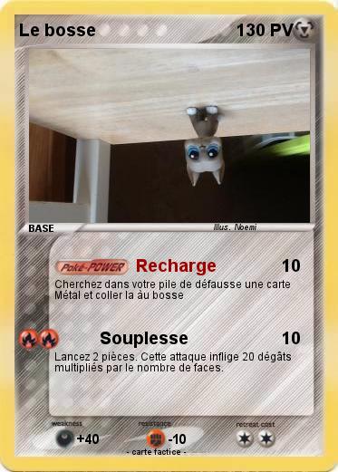 Pokemon Le bosse
