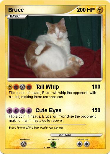 Pokemon Bruce
