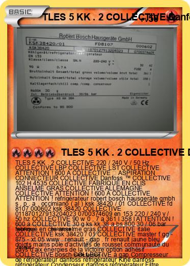 Pokemon TLES 5 KK . 2 COLLECTIVE Danfoss ™
