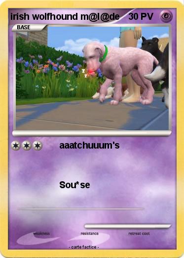 Pokemon irish wolfhound m@l@de