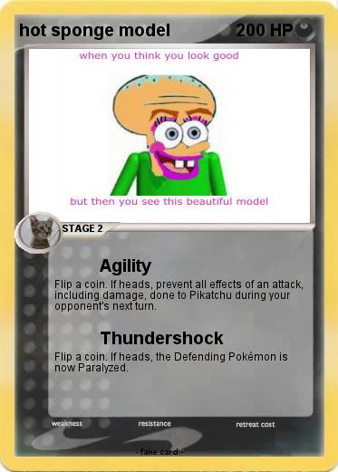 Pokemon hot sponge model