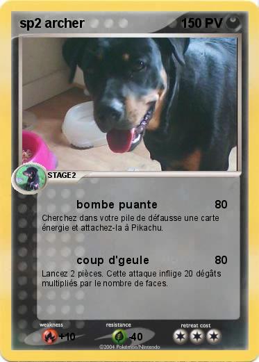 Pokemon sp2 archer
