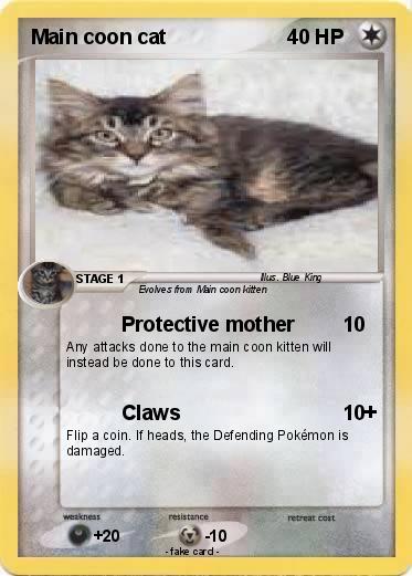 Pokemon Main coon cat