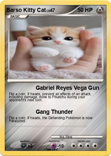 Pokemon Barso Kitty Cat