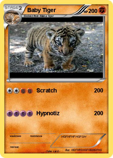 Pokemon Baby Tiger