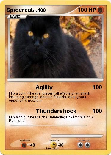 Pokemon Spidercat
