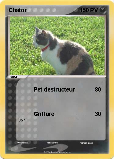Pokemon Chator