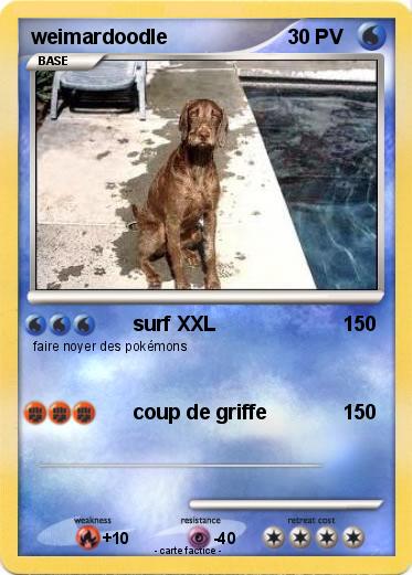 Pokemon weimardoodle