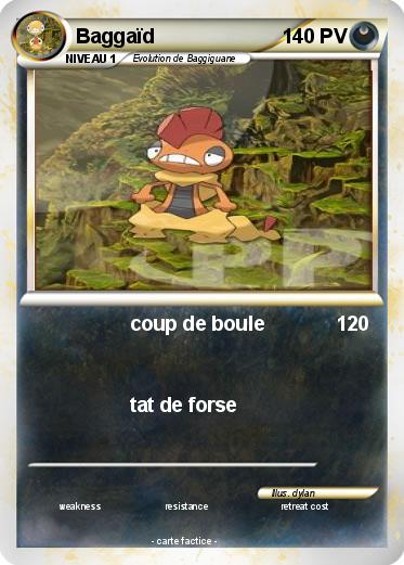 Pokemon Baggaïd