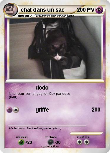 Pokemon chat dans un sac