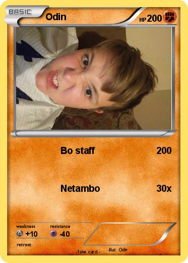 Pokemon Odin