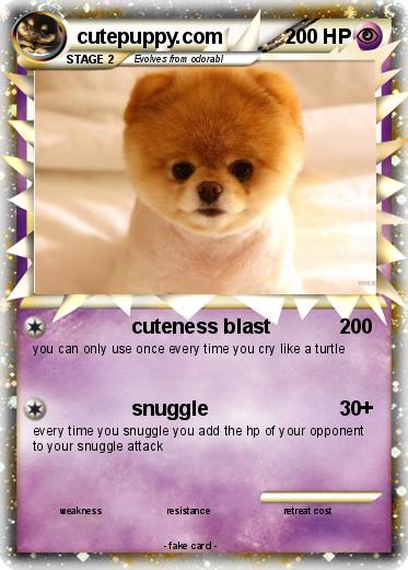 Pokemon cutepuppy.com