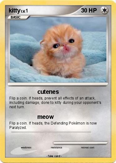 Pokemon kitty