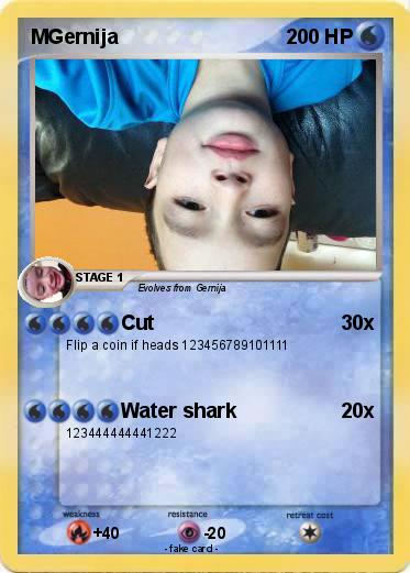 Pokemon MGernija