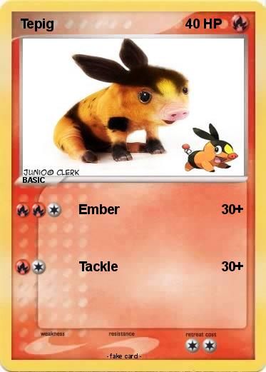 Pokemon Tepig