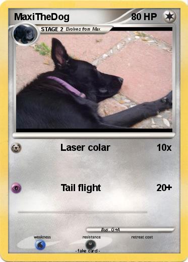 Pokemon MaxiTheDog