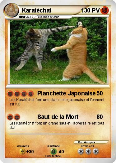Pokemon Karatéchat