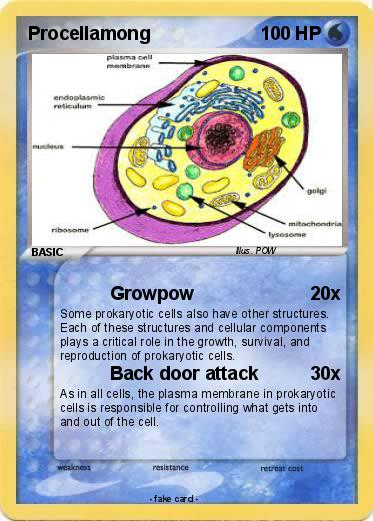 Pokemon Procellamong