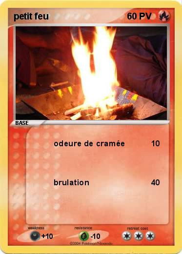 Pokemon petit feu  