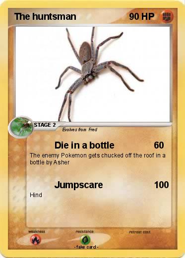 Pokemon The huntsman