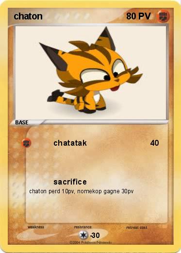 Pokemon chaton
