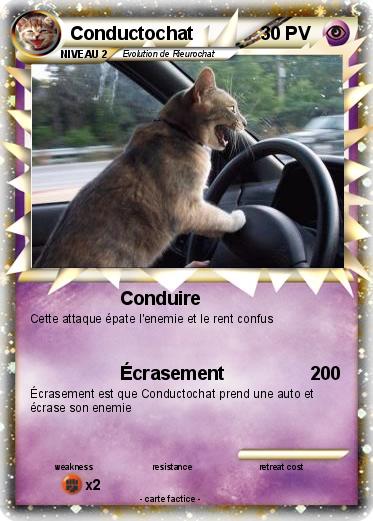 Pokemon Conductochat