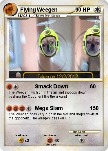 Pokemon Flying Weegen