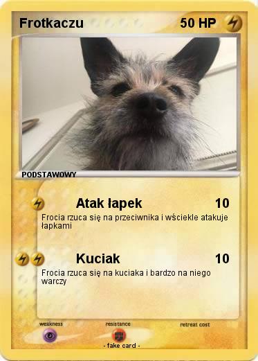 Pokemon Frotkaczu