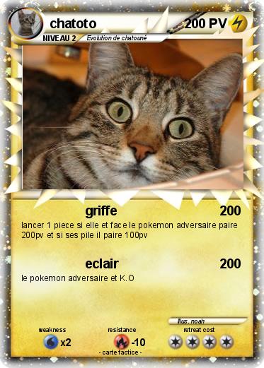 Pokemon chatoto