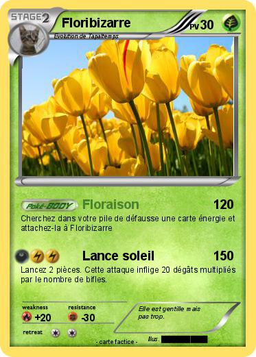 Pokemon Floribizarre