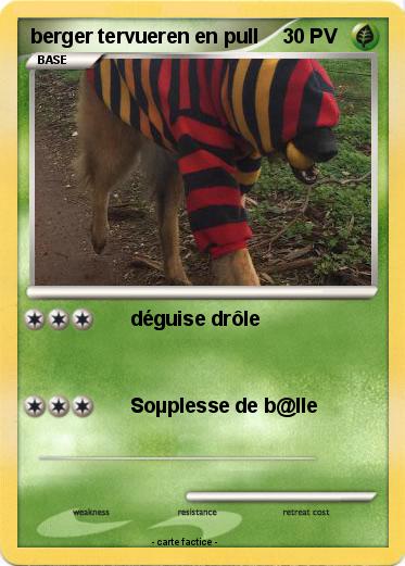 Pokemon berger tervueren en pull