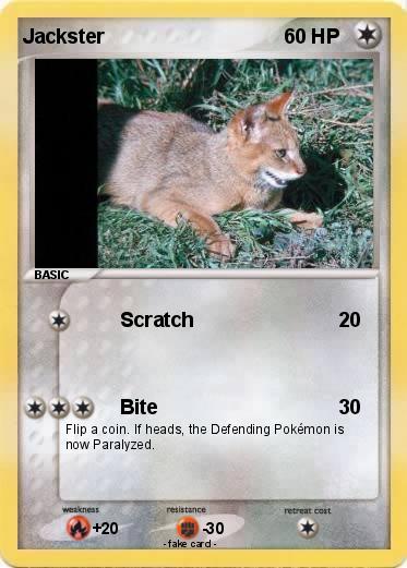 Pokemon Jackster