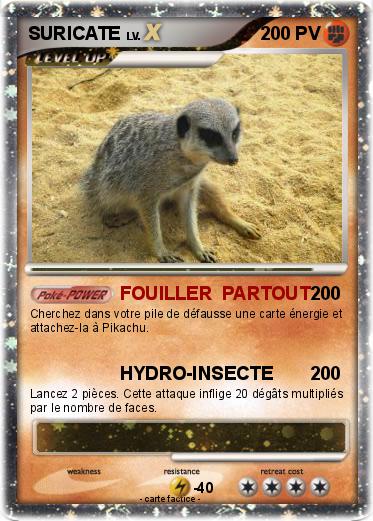 Pokemon SURICATE