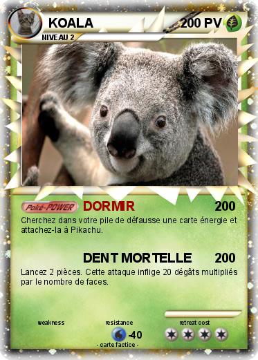 Pokemon KOALA
