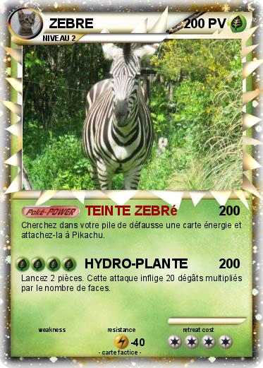 Pokemon ZEBRE