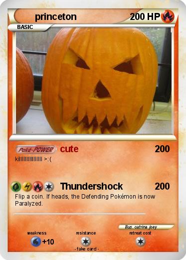 Pokemon princeton