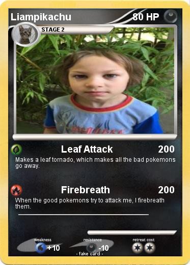 Pokemon Liampikachu
