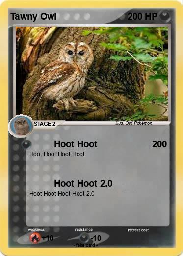 Pokemon Tawny Owl