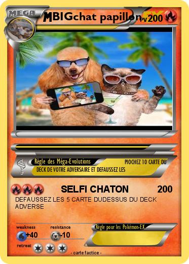 Pokemon BIGchat papillon