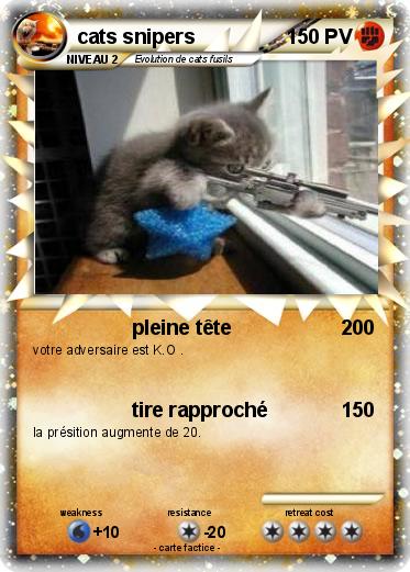 Pokemon cats snipers