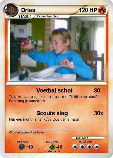 Pokemon Dries