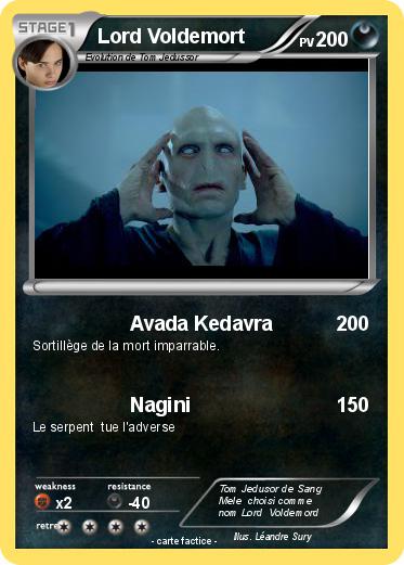 Pokemon Lord Voldemort