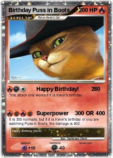 Pokemon Birthday Puss in Boots