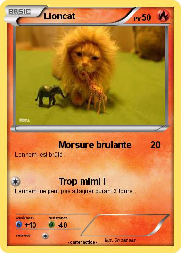 Pokemon Lioncat