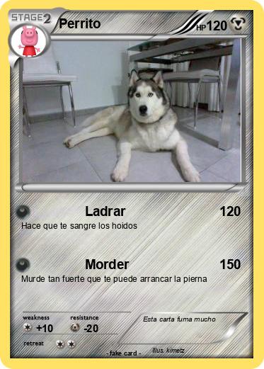 Pokemon Perrito