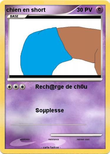 Pokemon chien en short