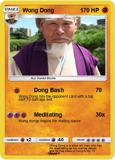 Pokemon Wong Dong
