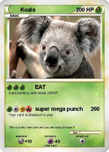 Pokemon Koala