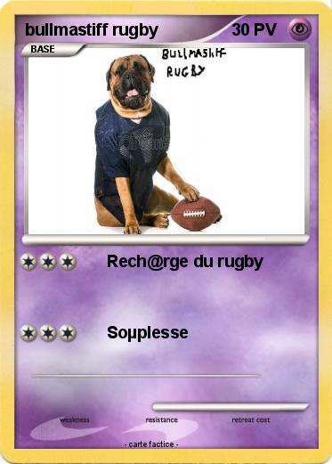 Pokemon bullmastiff rugby