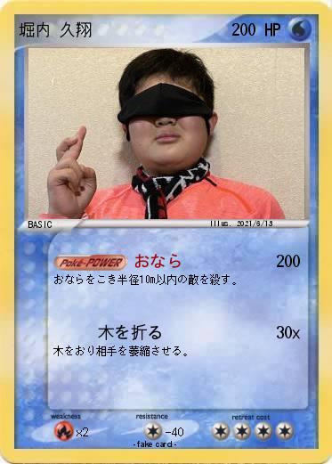 Pokemon 堀内 久翔